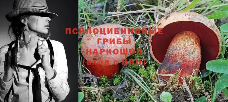 наркошоп  Володарск  мега маркетплейс  Галлюциногенные грибы Magic Shrooms 